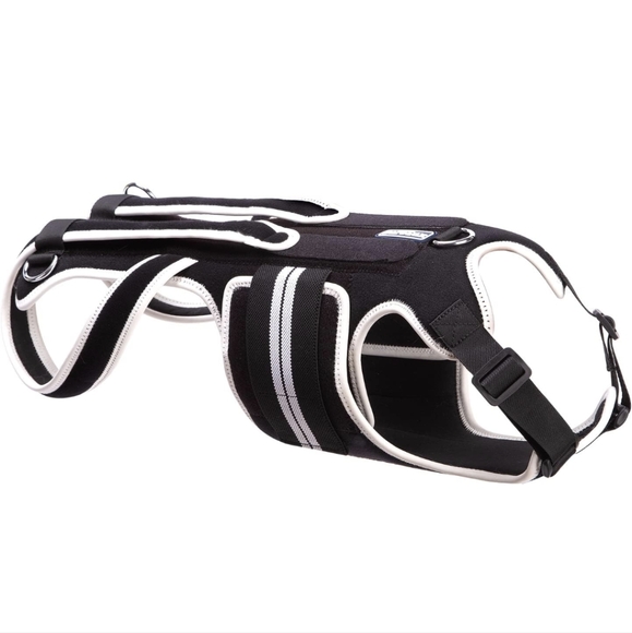 LufeLux Back Brace for Dogs with IVDD, Arthritis, Back Pain, Surgical Recover(S) - Picture 1 of 5